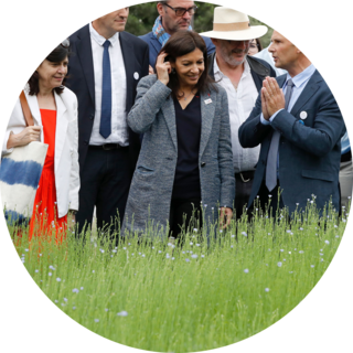 Paris’ mayor Anne Hidalgo (C) reacts during the inauguration of the “BiodiversiTerre” garden, at the foot of the Arc de Triomphe on June 3, 2017 in Paris. A farm and its sheep, a field of linen, 130 trees and silkworms: the prestigious avenue Foch in Paris will host biodiversity this weekend with BiodiversiTerre, a “plant work” of 10,000 m2 in the form of “agricultural and horticultural walk”, announced May 30 by the mayor of Paris